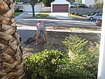 IMG_9571.JPG