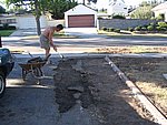 IMG_9586.JPG