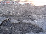 IMG_9591.JPG