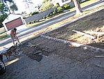 IMG_9592.JPG