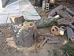 IMG_9597.JPG