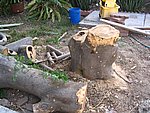 IMG_9598.JPG