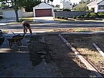 MVI_9587.jpg