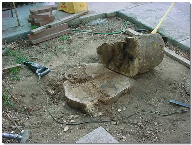 MVC-099S.JPG