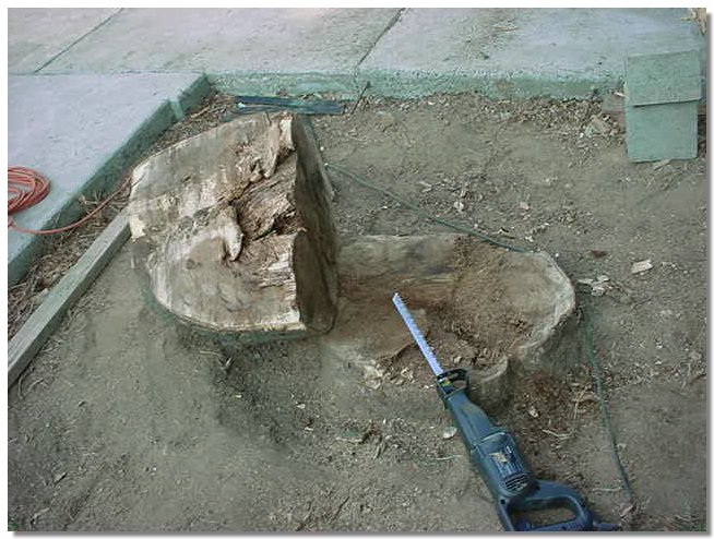 MVC-100S.JPG