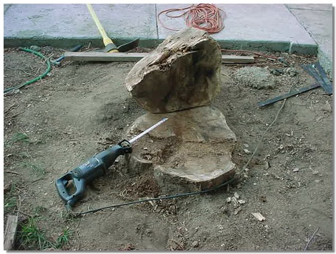 MVC-101S.JPG