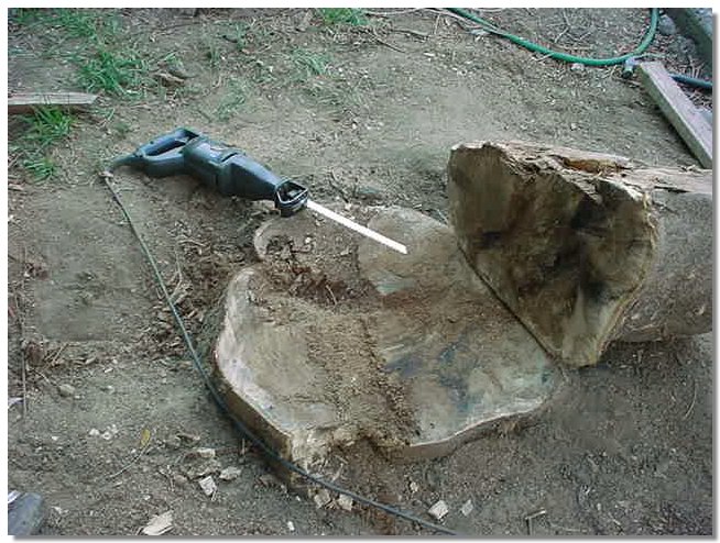 MVC-102S.JPG