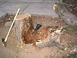 IMG_0253.JPG