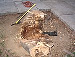 IMG_0254.JPG
