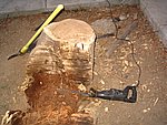 IMG_0255.JPG