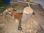 IMG_0256.JPG