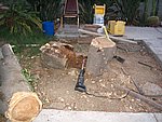 IMG_0257.JPG