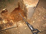IMG_0258.JPG