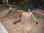 IMG_0259.JPG