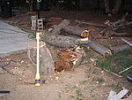 IMG_0260.JPG