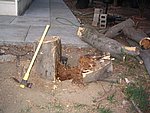 IMG_0261.JPG