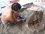 IMG_0268.JPG
