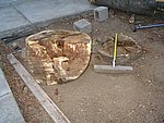 IMG_0307.JPG