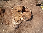 IMG_0413.JPG