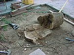 MVC-099S.JPG