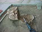 MVC-100S.JPG