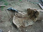 MVC-102S.JPG