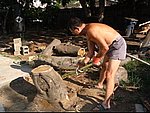 MVI_0284.jpg