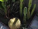 IMG_0433.jpg