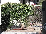 IMG_0436.jpg