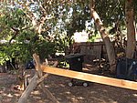 IMG_0440.jpg