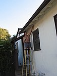 IMG_0448.jpg