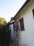 IMG_0449.jpg