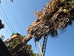 IMG_0470.jpg