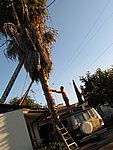 IMG_0471.jpg