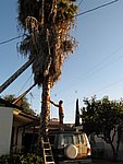 IMG_0472.jpg