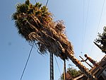 IMG_0473.jpg