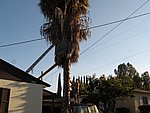 IMG_0480.jpg