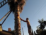 IMG_0485.jpg