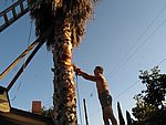 IMG_0486.jpg