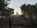 IMG_0489.jpg