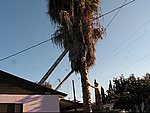 MVI_0481.jpg
