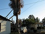 MVI_0482.jpg