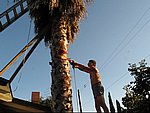 MVI_0487.jpg