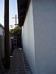 P8100014.JPG