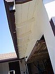 P8110025.JPG