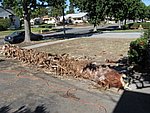 IMG_0498.jpg