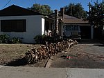 IMG_0501.jpg