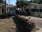 IMG_0502.jpg