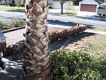 IMG_0508.jpg