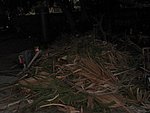 IMG_0511.jpg